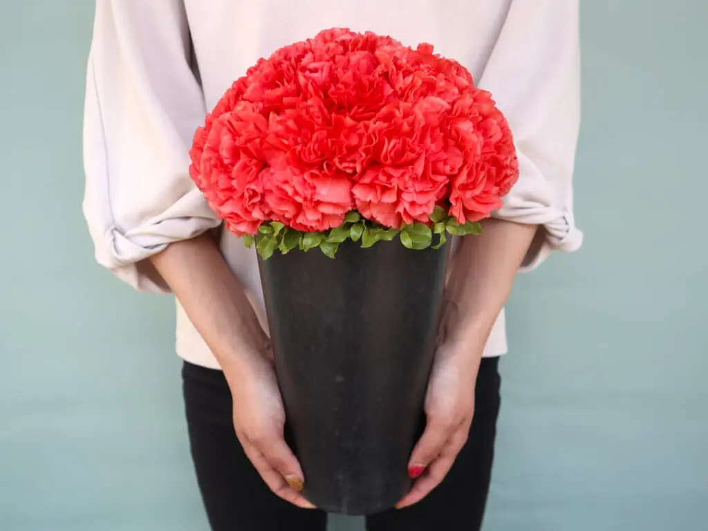 Sourire /スリール・シリーズ - 花の店凜【SHOP】