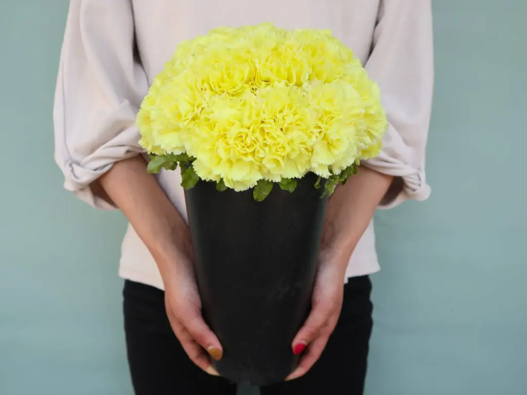 Sourire /スリール・シリーズ - 花の店凜【SHOP】