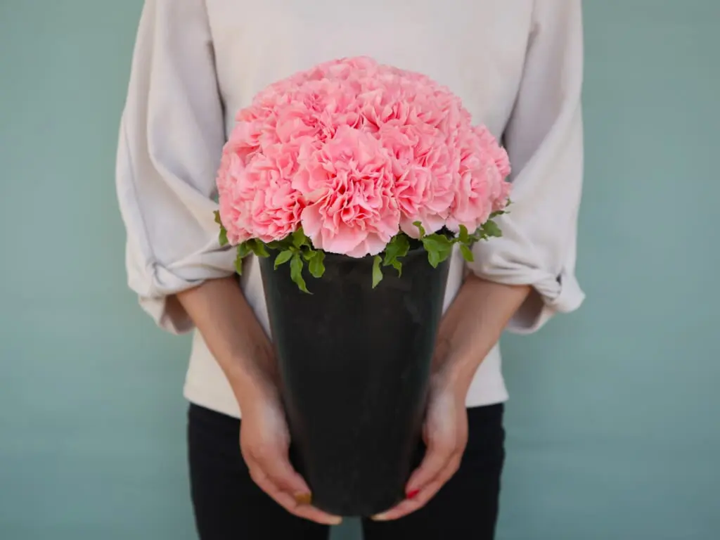 Sourire /スリール・シリーズ - 花の店凜【SHOP】