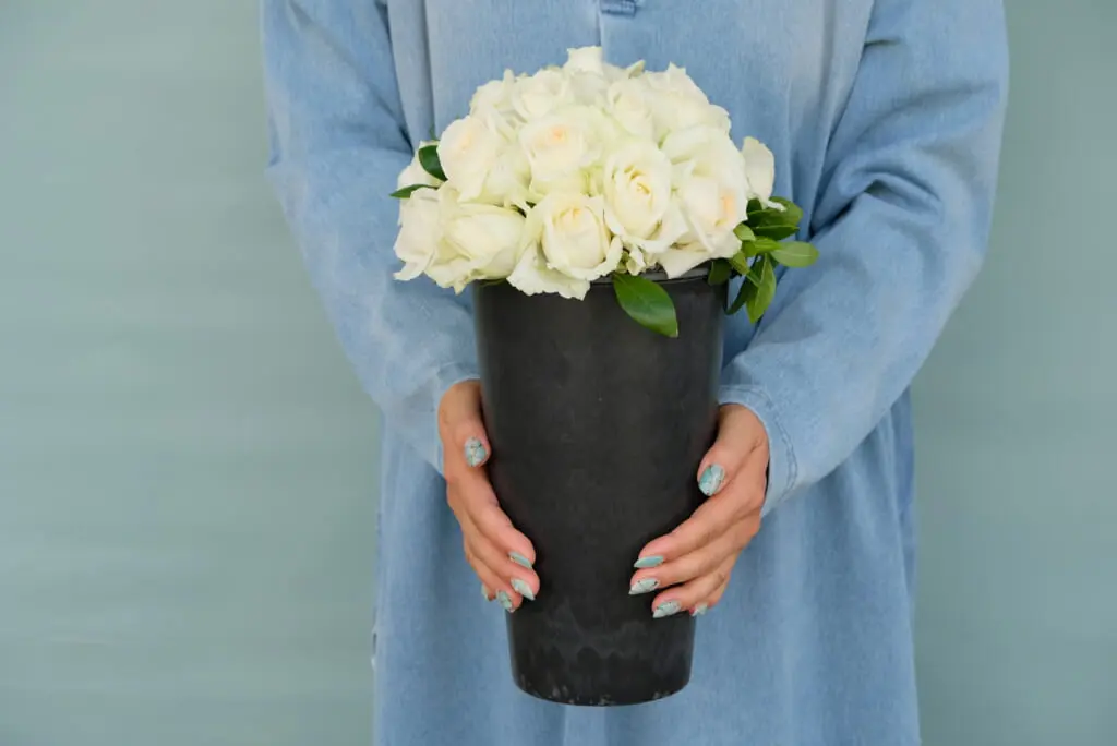 Sourire (スリール) Sourire /スリール・シリーズ - 花の店凜【SHOP】