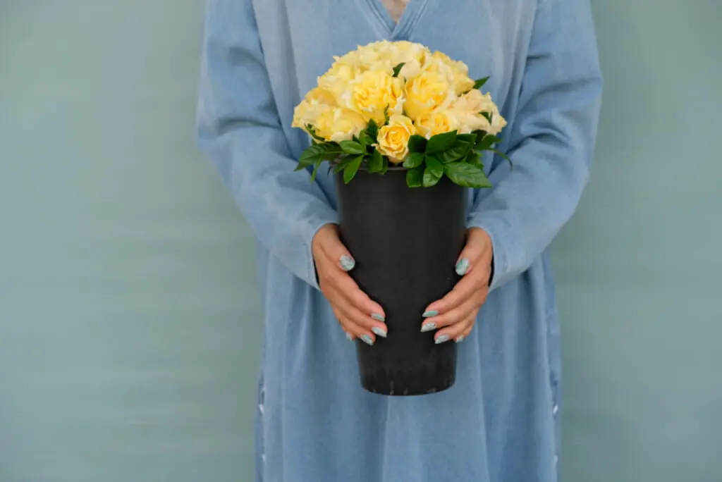 Sourire /スリール・シリーズ - 花の店凜【SHOP】