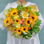 sunflower_29